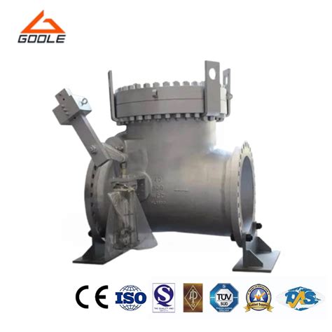 steam turbine swing check